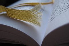 bookmark bookmark